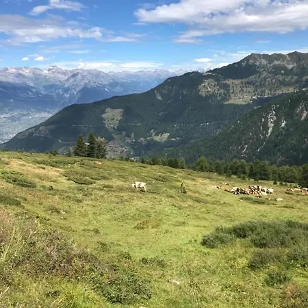 Chalet Alpina Offers Great Views *