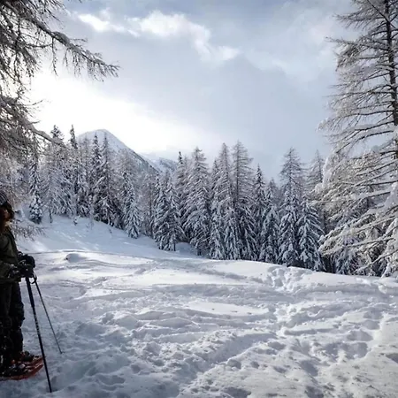 Alpina Offers Great Views Chalet