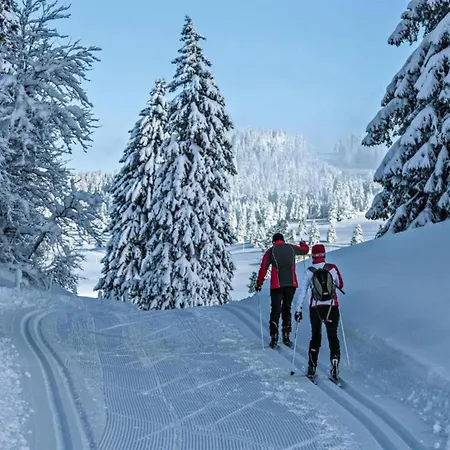 Alpina Offers Great Views Chalet *